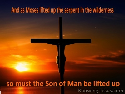 John 3:14 The Wilderness Serpent (brown)